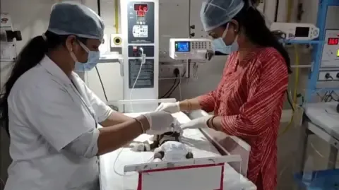 Newborn Placed Alive in the Country Struggles for Her Life