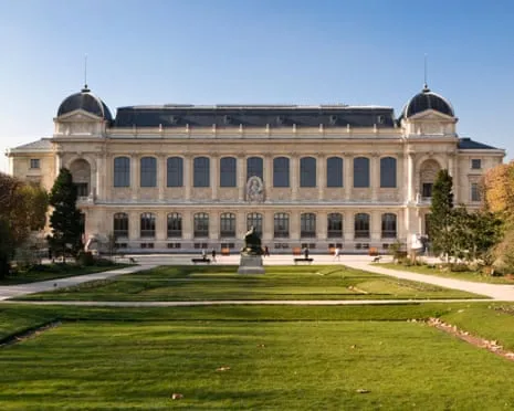 Historic Gold Samples Taken in Daring Raid at French Natural History Institution
